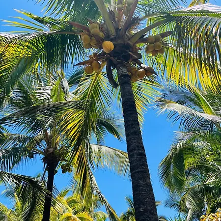 Appartement Blue Ocean Costa Adeje 506