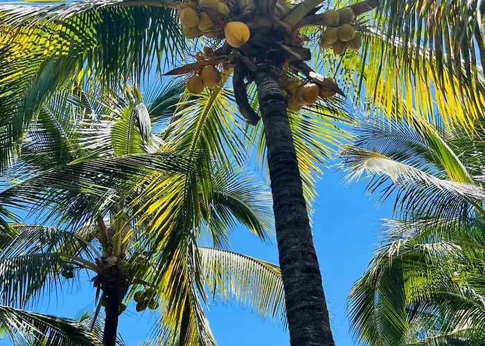 Apartmán Blue Ocean Costa Adeje 506