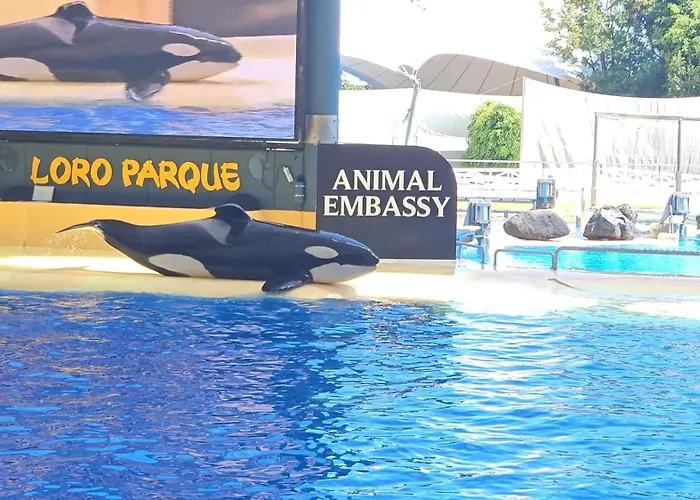 Blue Ocean Costa Adeje 506 Apartmán *