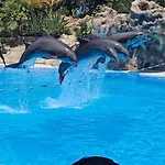 Blue Ocean Costa Adeje 506 アパート プラヤ・デ・ラス・アメリカス