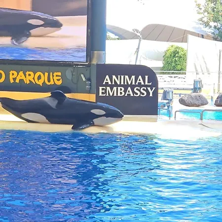 Blue Ocean Costa Adeje 506 아파트 *