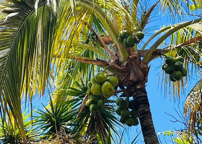 Blue Ocean Costa Adeje 506