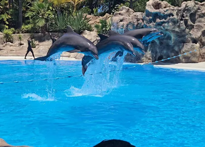 Blue Ocean Costa Adeje 506 Apartment Playa de las Americas (Tenerife)